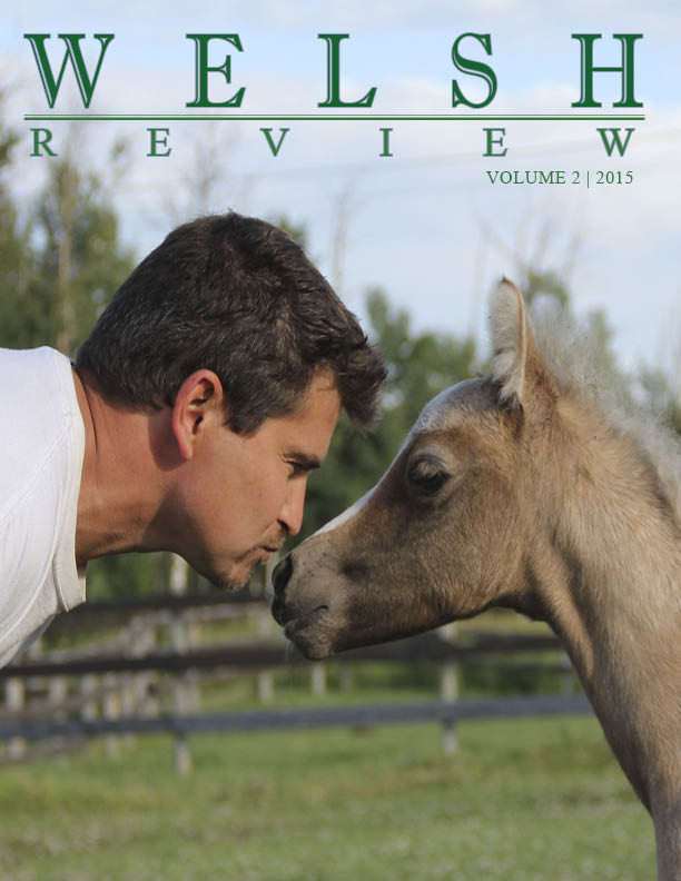 Welsh Review 2015 Vol 2 Cover